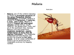 Malaria