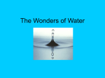 The Wonders of Water