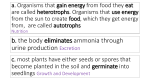 a. autotrophic/heterotrophic organisms