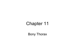 Chapter 10