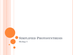 Simplified Photosynthesis