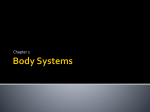 Body Systems