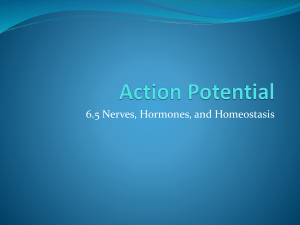 9.2 Electrochemical Impulses