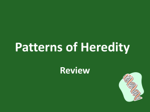 Patterns of Heredity