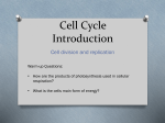 Mitosis Introduction - Northwest ISD Moodle