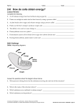 2-8 How do cells obtain energy?