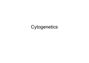 Cytogenetics