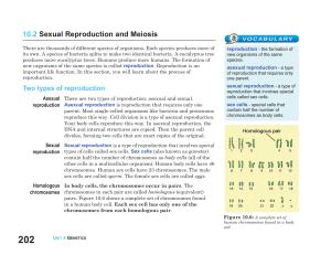 10.2 Sexual Reproduction and Meiosis