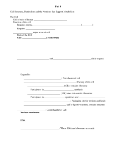 Unit 4 Cell Structure, Metabolism and the Nutrients that Support