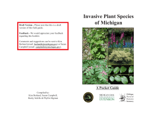 Invasive Plant Guide - Alliance of Rouge Communities