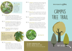 Campus Tree Trail map