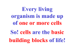 Every living organism is made up of one or more cells