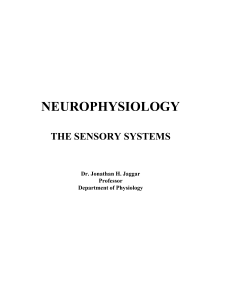 cns structure - Department of Physiology