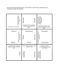 Photosynthesis Vocabulary Squares - Science