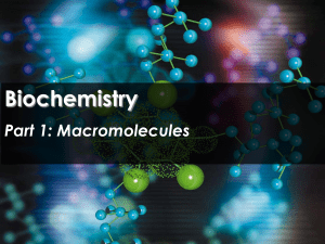 Biochemistry - Science with Mr. Enns