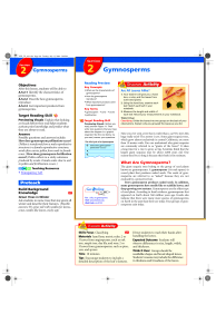 2 Gymnosperms - ReadingtonScience