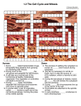 1.2 The Cell Cycle and Mitosis