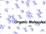 Organic Molecules