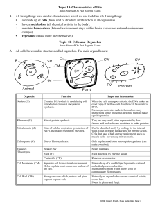 Topic 1A Characteristics of Life A. All living things have similar