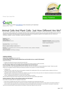 Animal Cells And Plant Cells