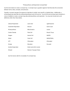 “Photosynthesis and Respiration Concept Map” Use the terms below