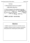 Paper Plasmid Lab Period 3 Notes.notebook