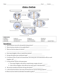 CELL CYCLE