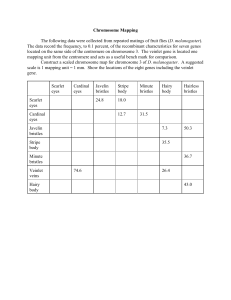 Chromosome Mapping The following data were collected from