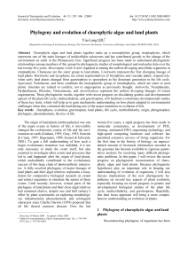 Phylogeny and evolution of charophytic algae and land plants