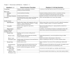 Handout 2 –2 Brain Structure Functions Handout 2-2 driving