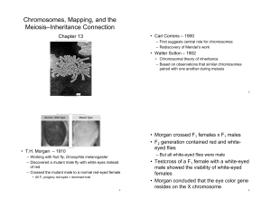 Chromosomes, Mapping, and the Meiosis–Inheritance Connection