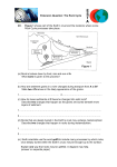 Extension Question: The Rock Cycle Q1. Figure 1 shows part of the