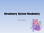 Circulatory System Vocabulary