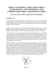 coral taxonomy, coral bleaching, scuba diving and intertidal
