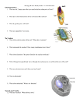 Biology Study Guide: 7