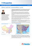 China and the commodities cycle