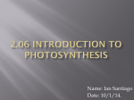 2.06 Introduction to Photosynthesis