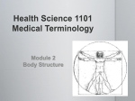 Health Science 1101 Medical Terminology