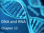 DNA and RNA