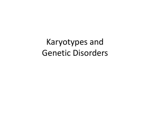 Karyotypes