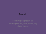 Protein