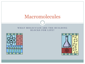 Macromolecules