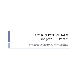 ACTION POTENTIALS