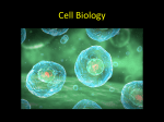 Cell Biology