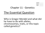 GeneticsPt1.ppt