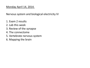 Lecture_31_2014_noquiz