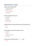 Igneous Rock Quiz – Answers