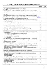 Year 9 Term 2: Body Systems and Responses