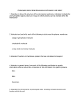 Prokaryotic Cells: What Structures Are Present in All Cells? 1