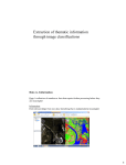 Extraction of thematic information through image classifications